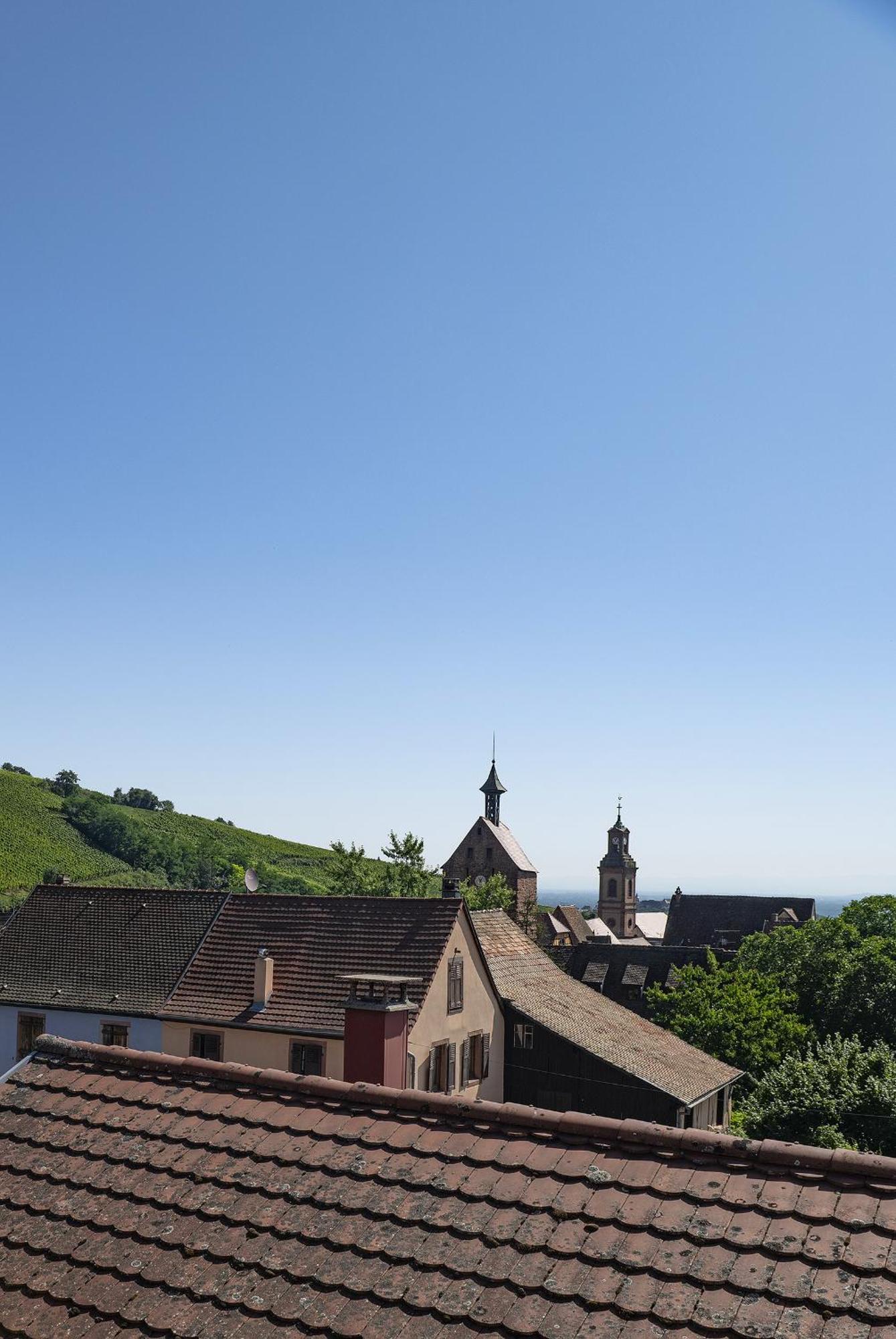 Riesling - Vue Imprenable Sur Le Vignoble - Renove Recemment - Parking Gratuit Apartment Riquewihr Luaran gambar