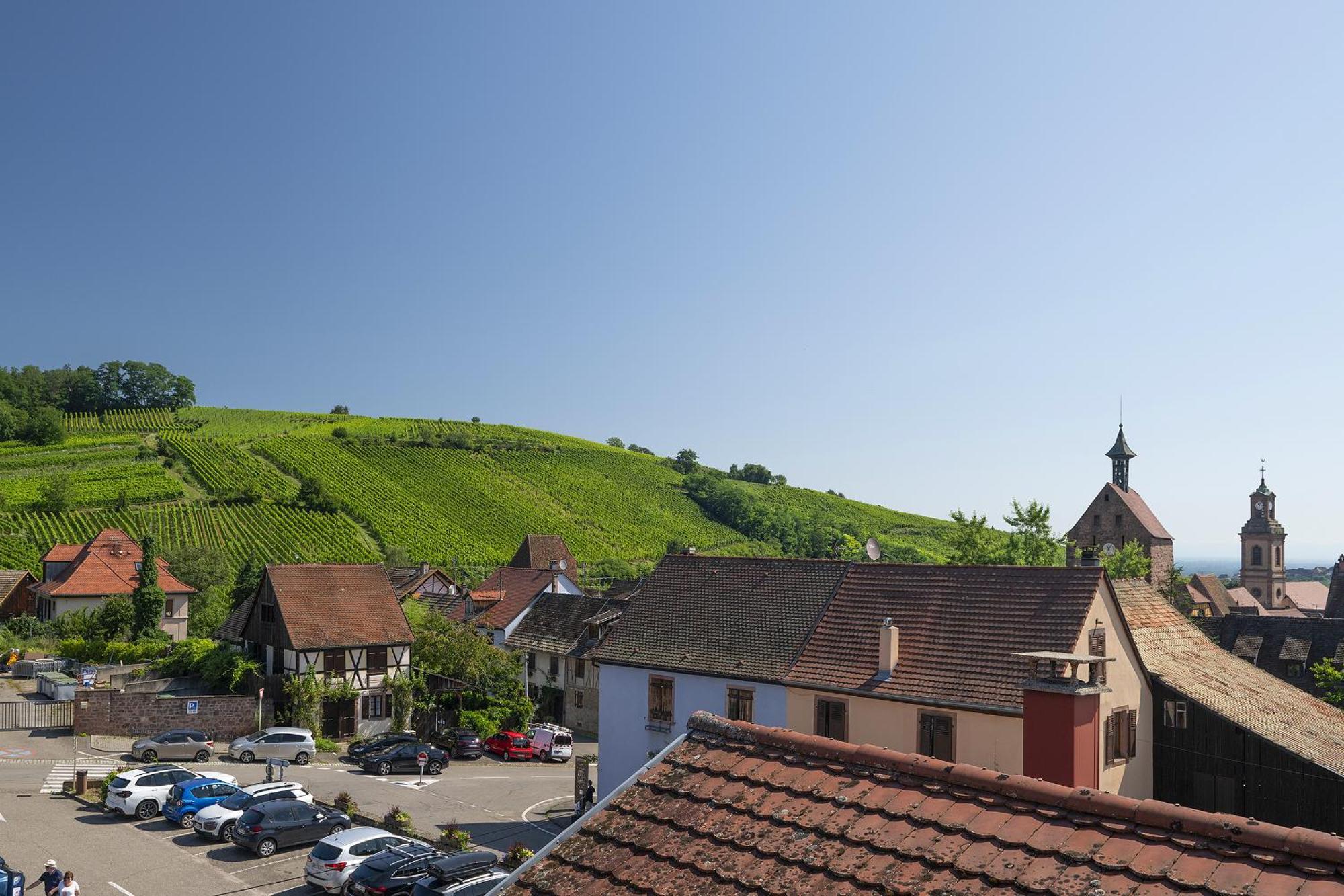 Riesling - Vue Imprenable Sur Le Vignoble - Renove Recemment - Parking Gratuit Apartment Riquewihr Luaran gambar