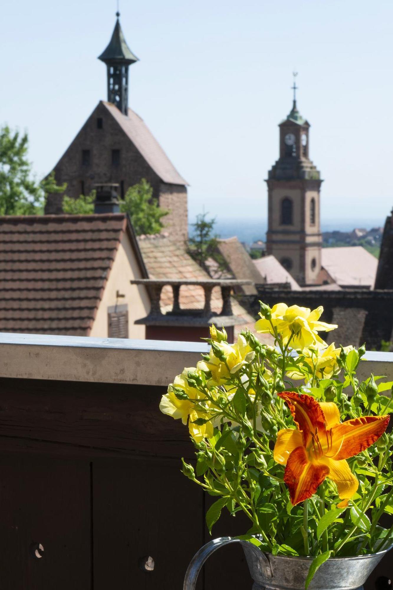Riesling - Vue Imprenable Sur Le Vignoble - Renove Recemment - Parking Gratuit Apartment Riquewihr Luaran gambar